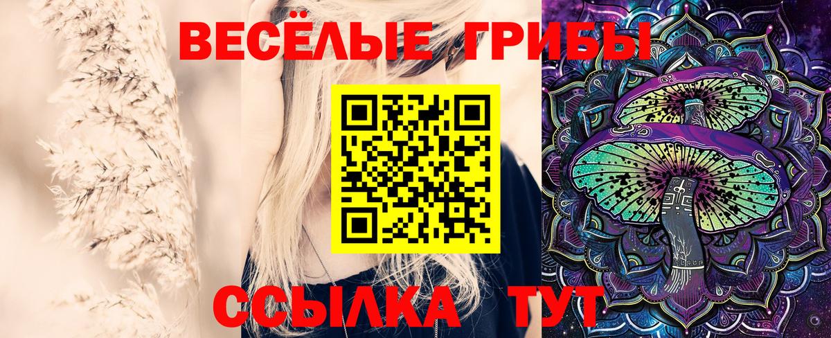 Галлюциногенные грибы мицелий Строитель